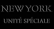 New York Unit Spciale Captures de l'pisode 404 