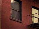 New York Unit Spciale Captures de l'pisode 110 